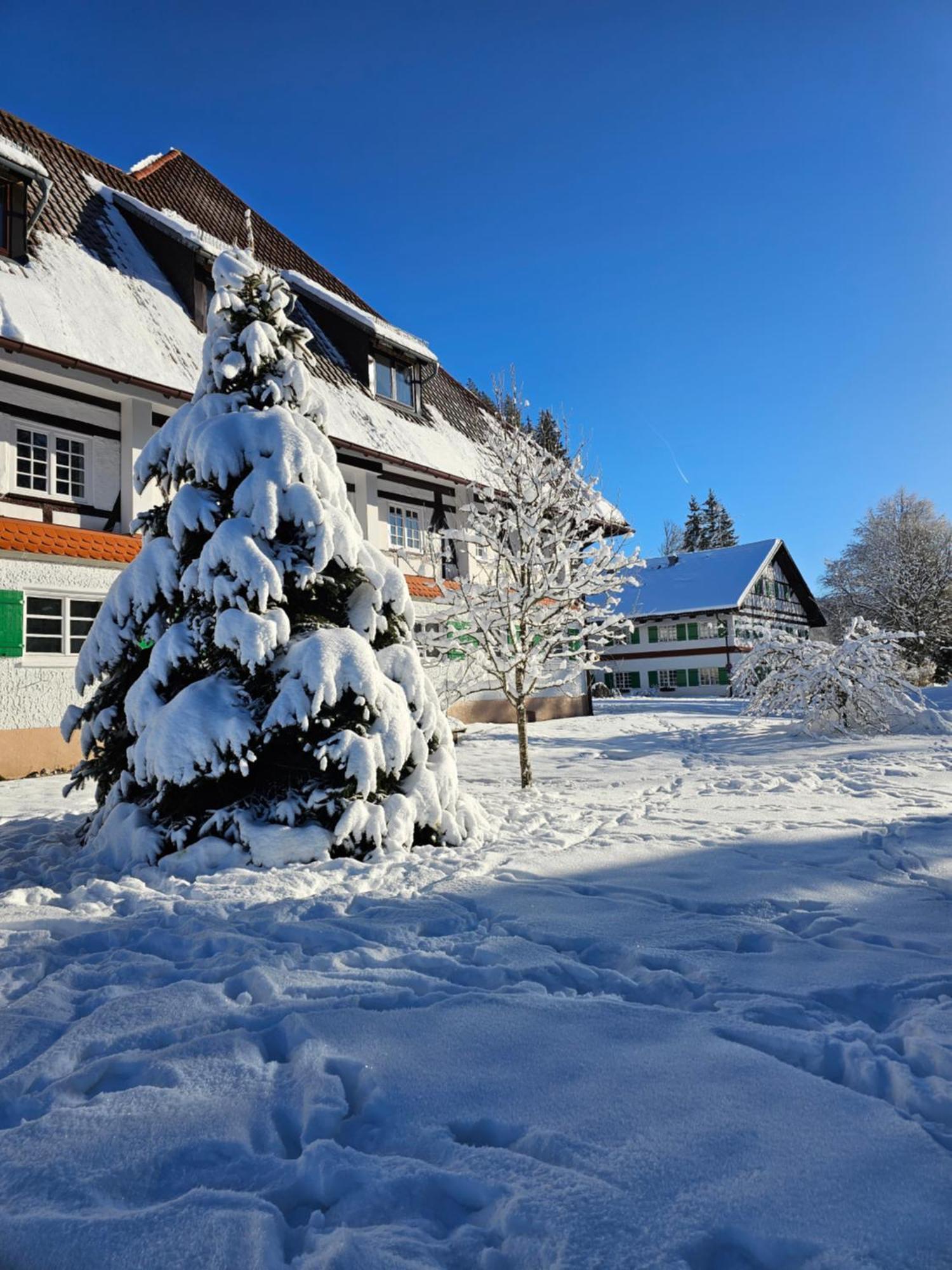 Allgaeu Residenz Natur & Spa Gmbh Wiggensbach Eksteriør bilde